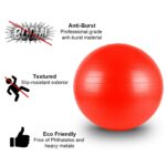 The-Yogis-Gym-Ball-65cm
