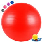 The-Yogis-Gym-Ball-65cm