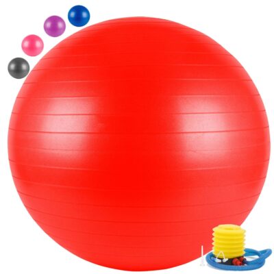 The-Yogis-Gym-Ball-65cm