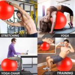 The-Yogis-Gym-Ball-65cm